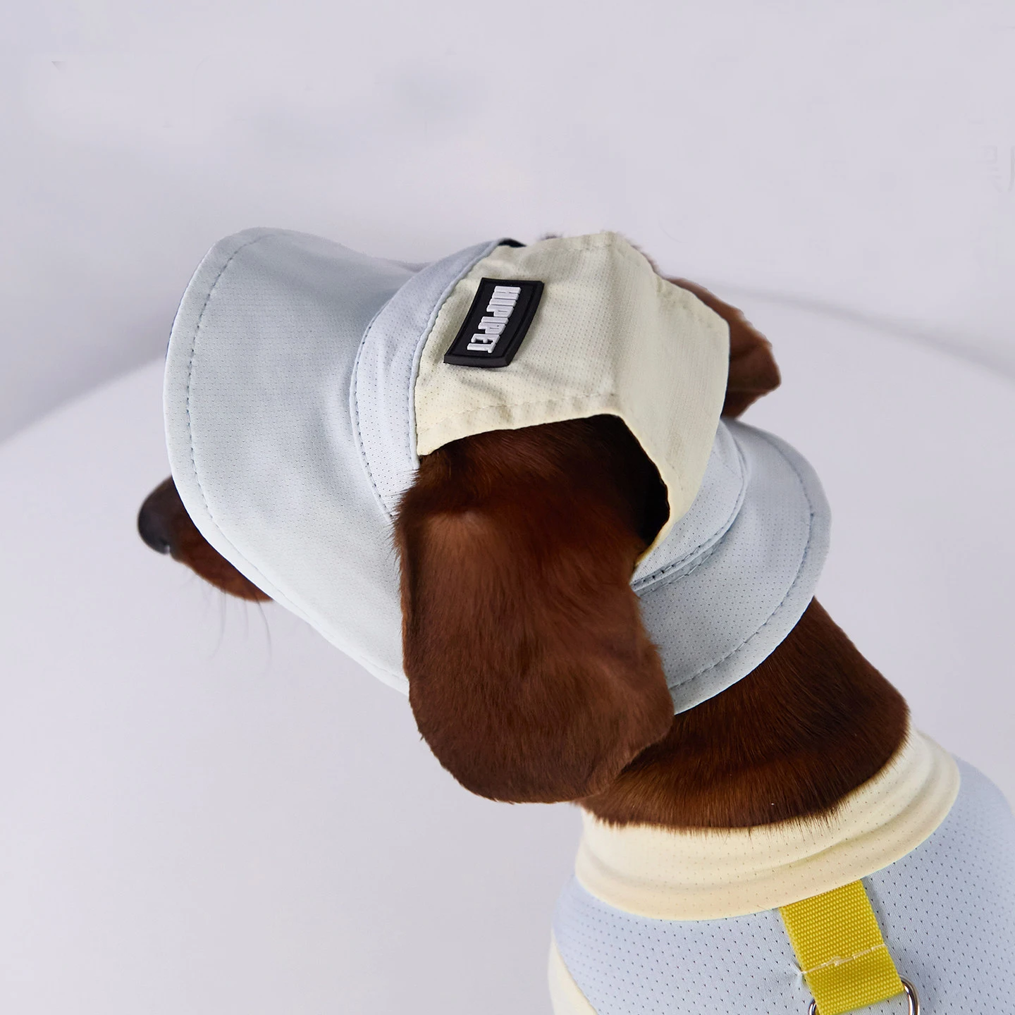 Detalle de la costura y la visera flexible de la gorra para perro