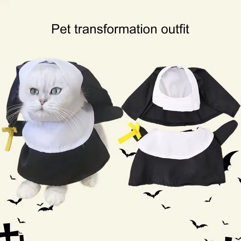 Perro vestido de monja en interior