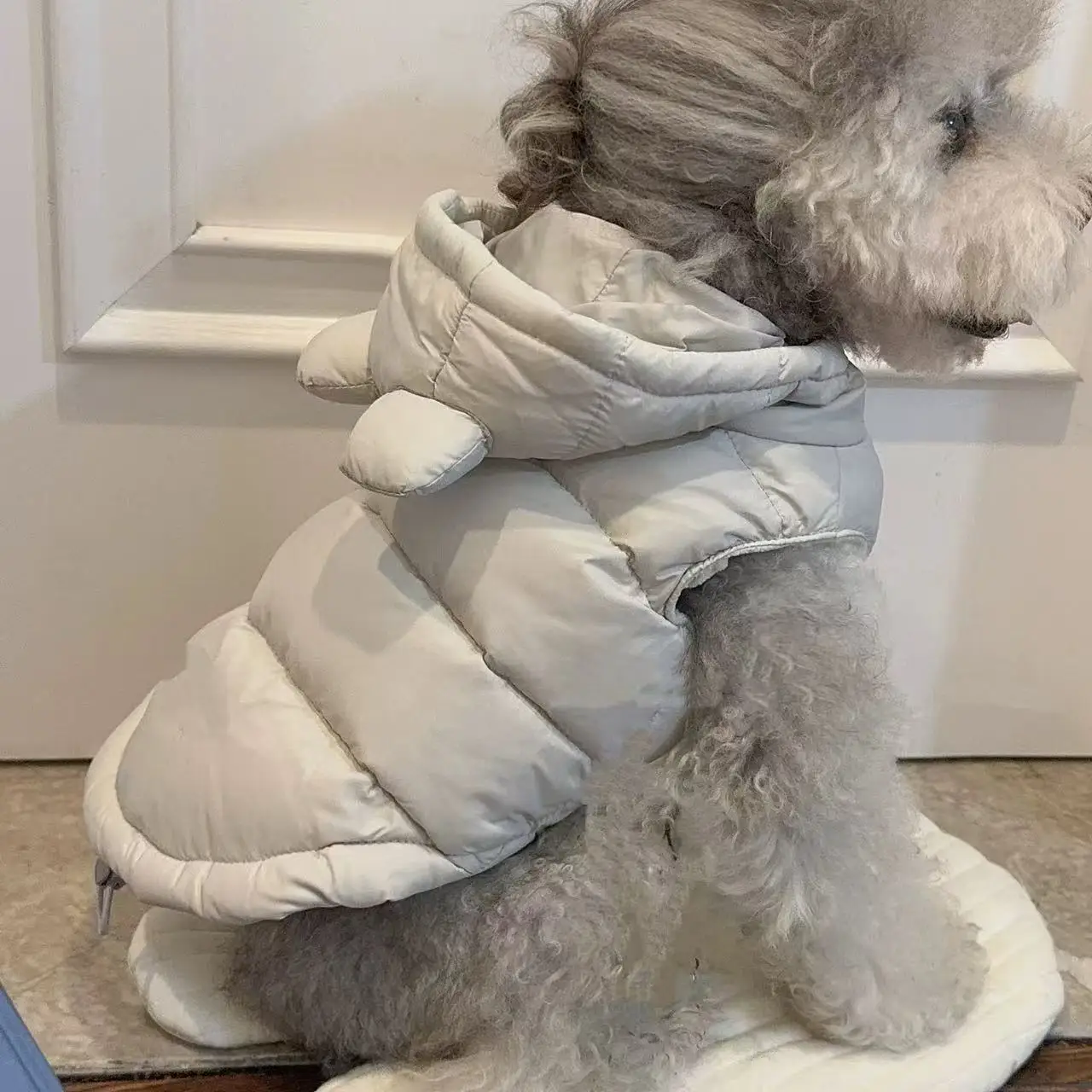 Chaleco Felpa Cálido para Perros y Gatos – Abrigo Invierno - imagen 2