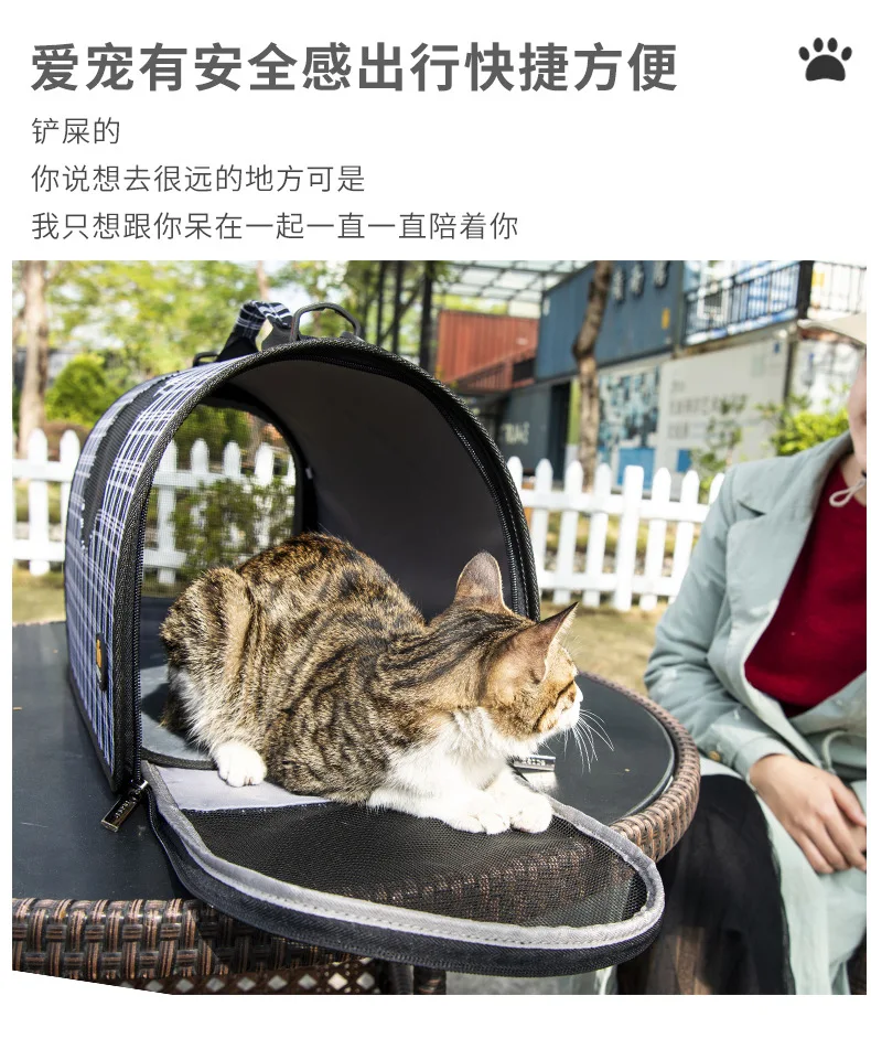 Modelo usado por una persona con mascota dentro