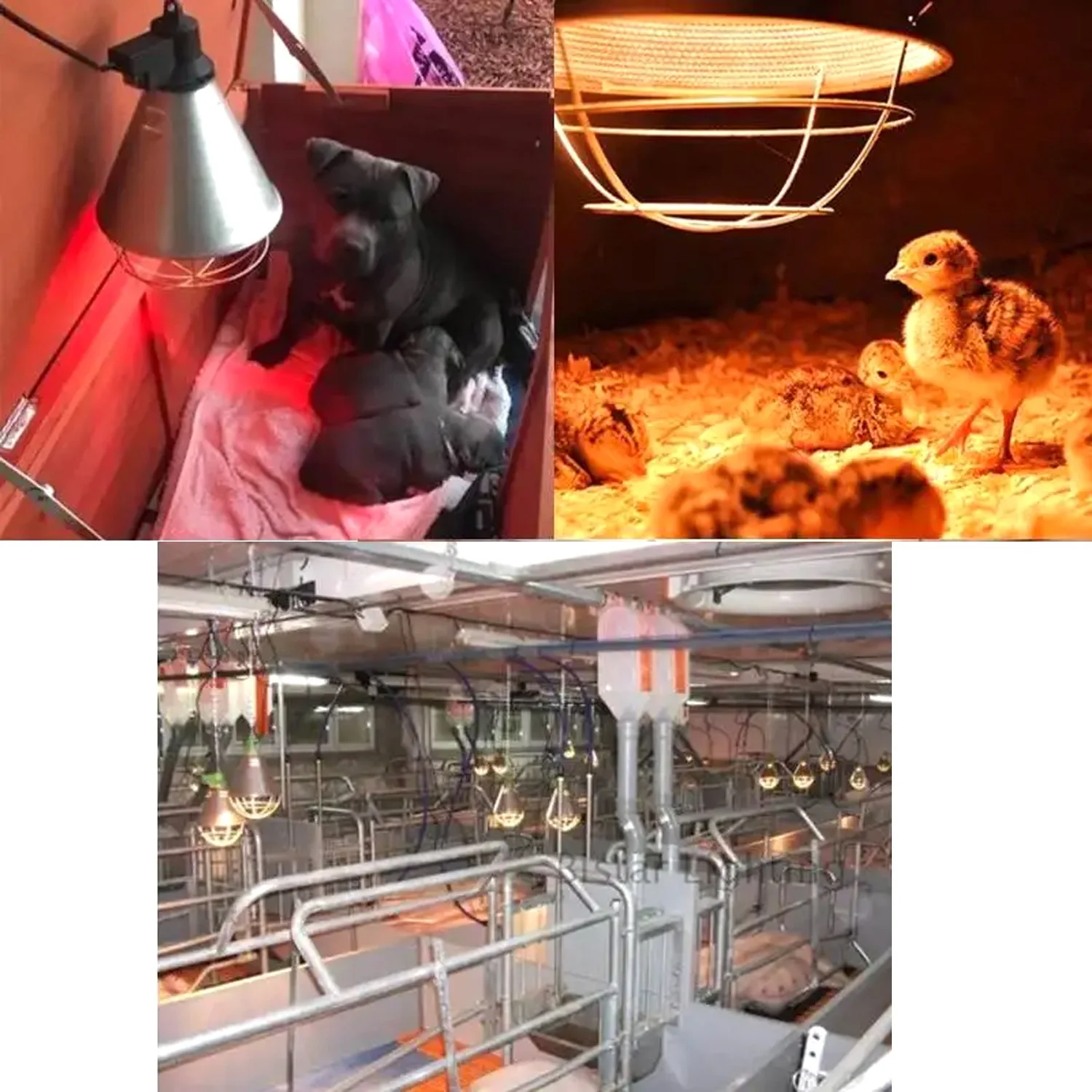 Durabilidad y materiales