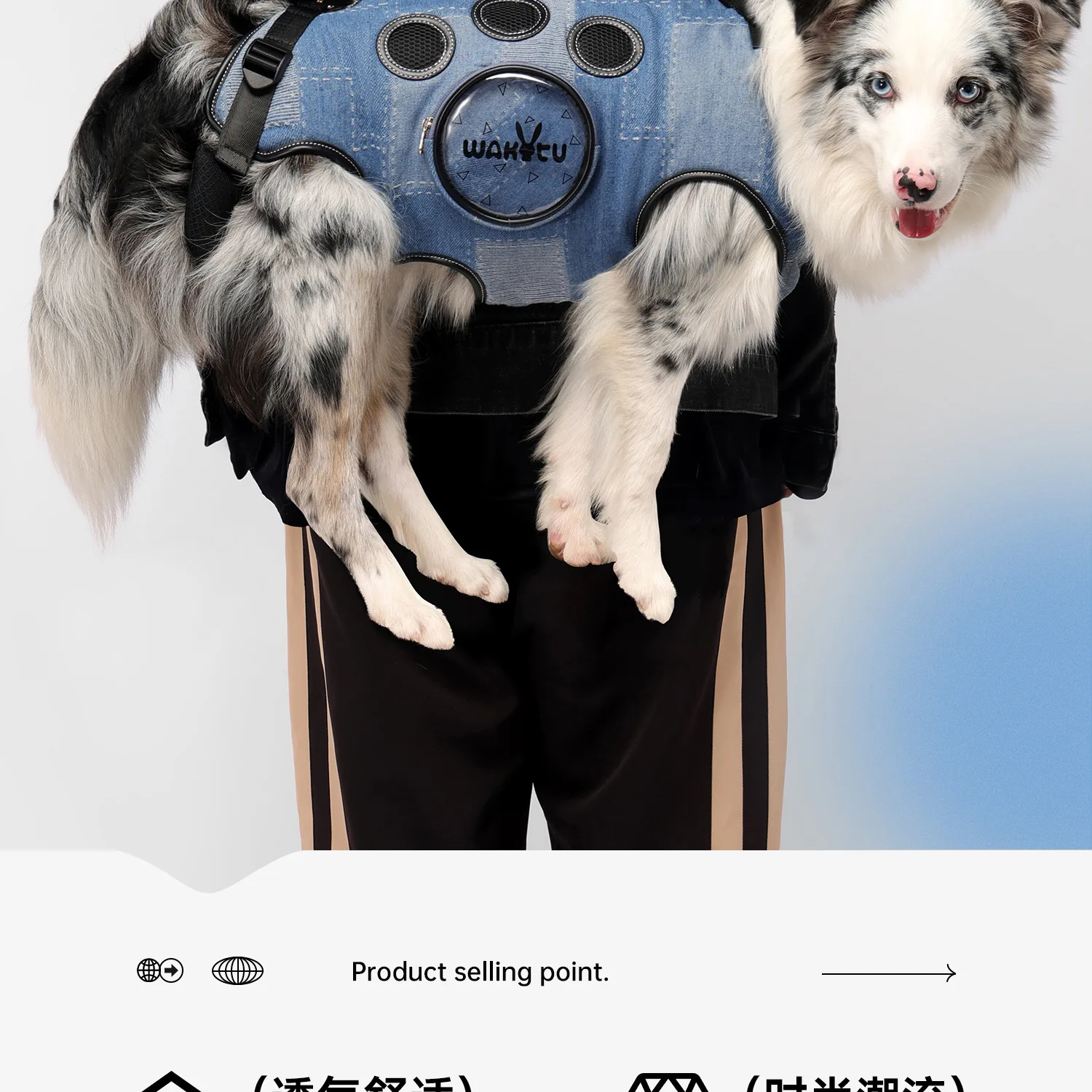 Mochila transportín en uso durante un paseo