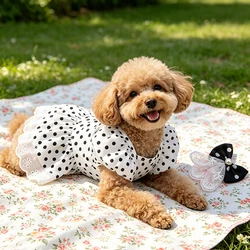 Vestido de verano con lunares para perro y chihuahua y bichón