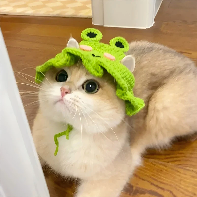 Gorro verde para gato adulto