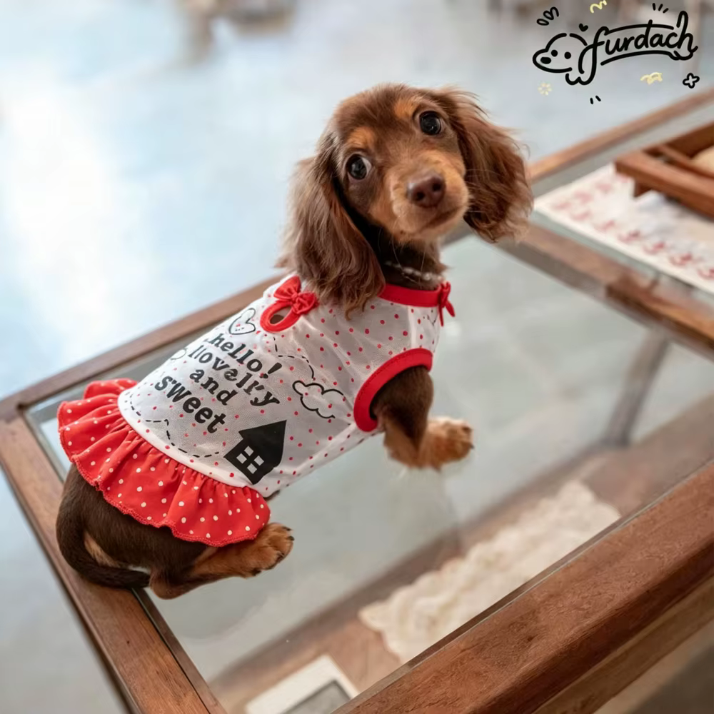 Vestido rústico con lazo para gatos y perros: falda verano