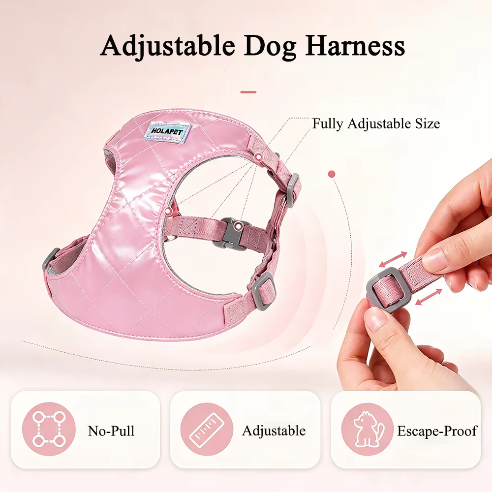 Arnés para perros con correa: transpirable y ajustable