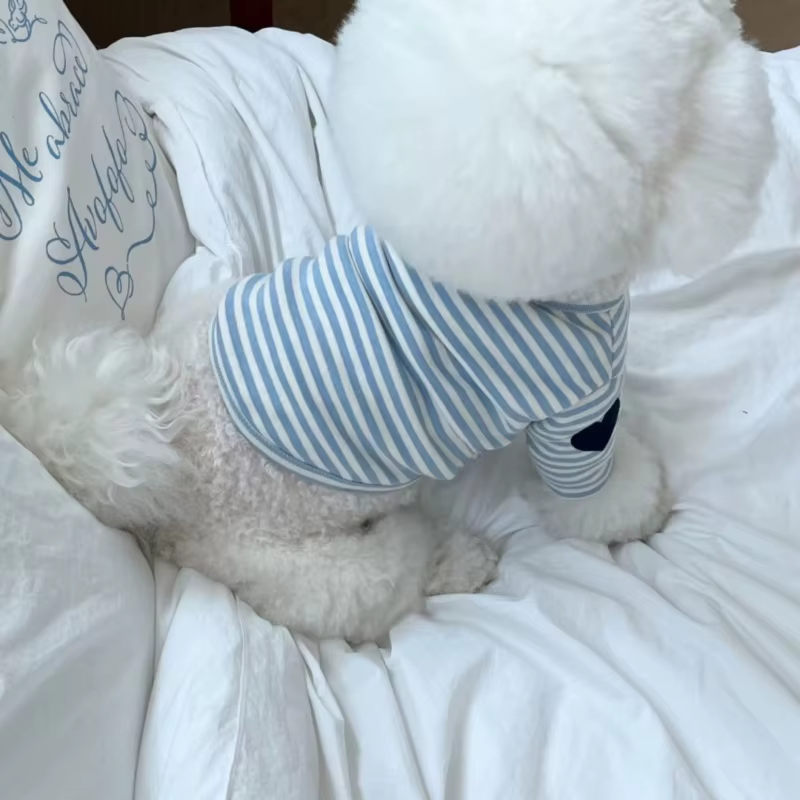 Camiseta verano corazón para perros y gatos – Top suave