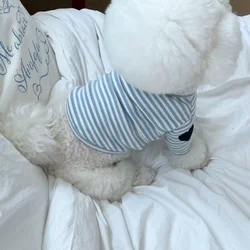 Camiseta verano corazón para perros y gatos – Top suave