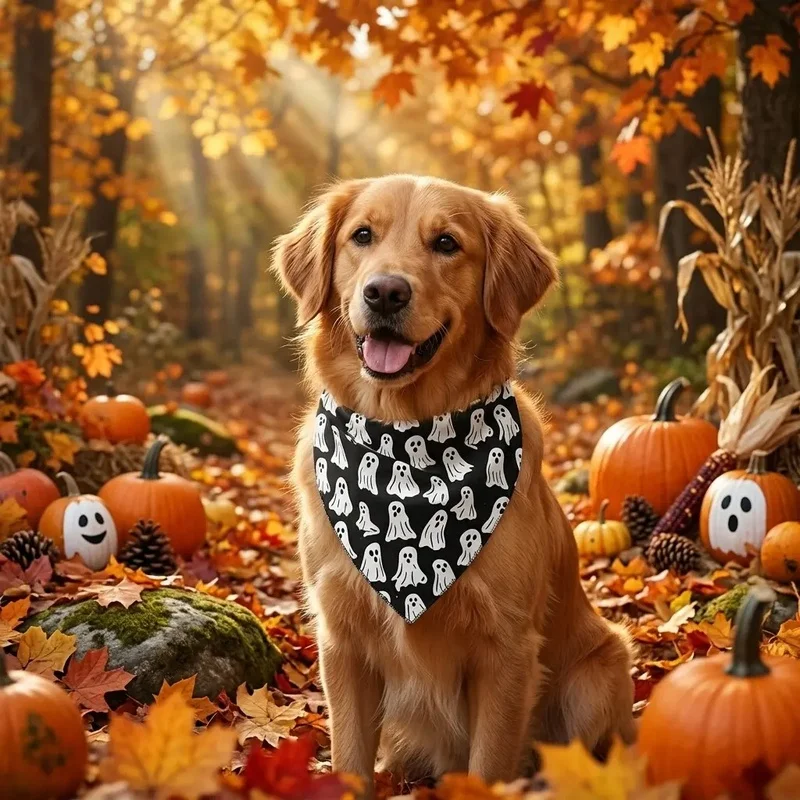 Pañuelo triangular para perro y gato – Estampado fantasma Halloween - imagen 5