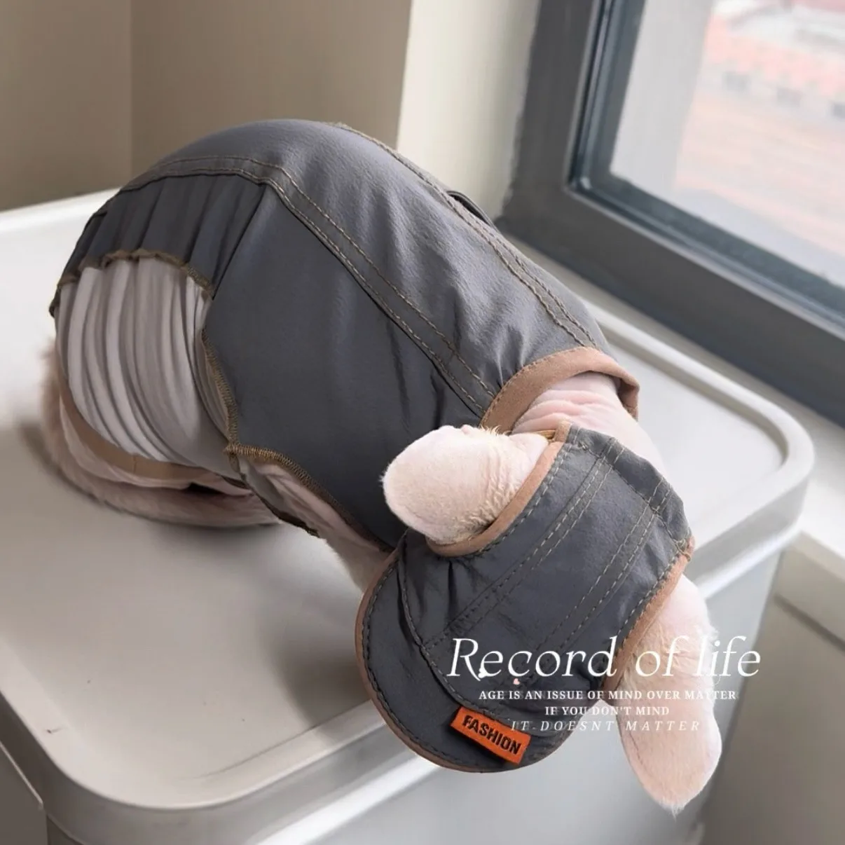 Chaleco de algodón gris para gatos sin pelo, protección solar