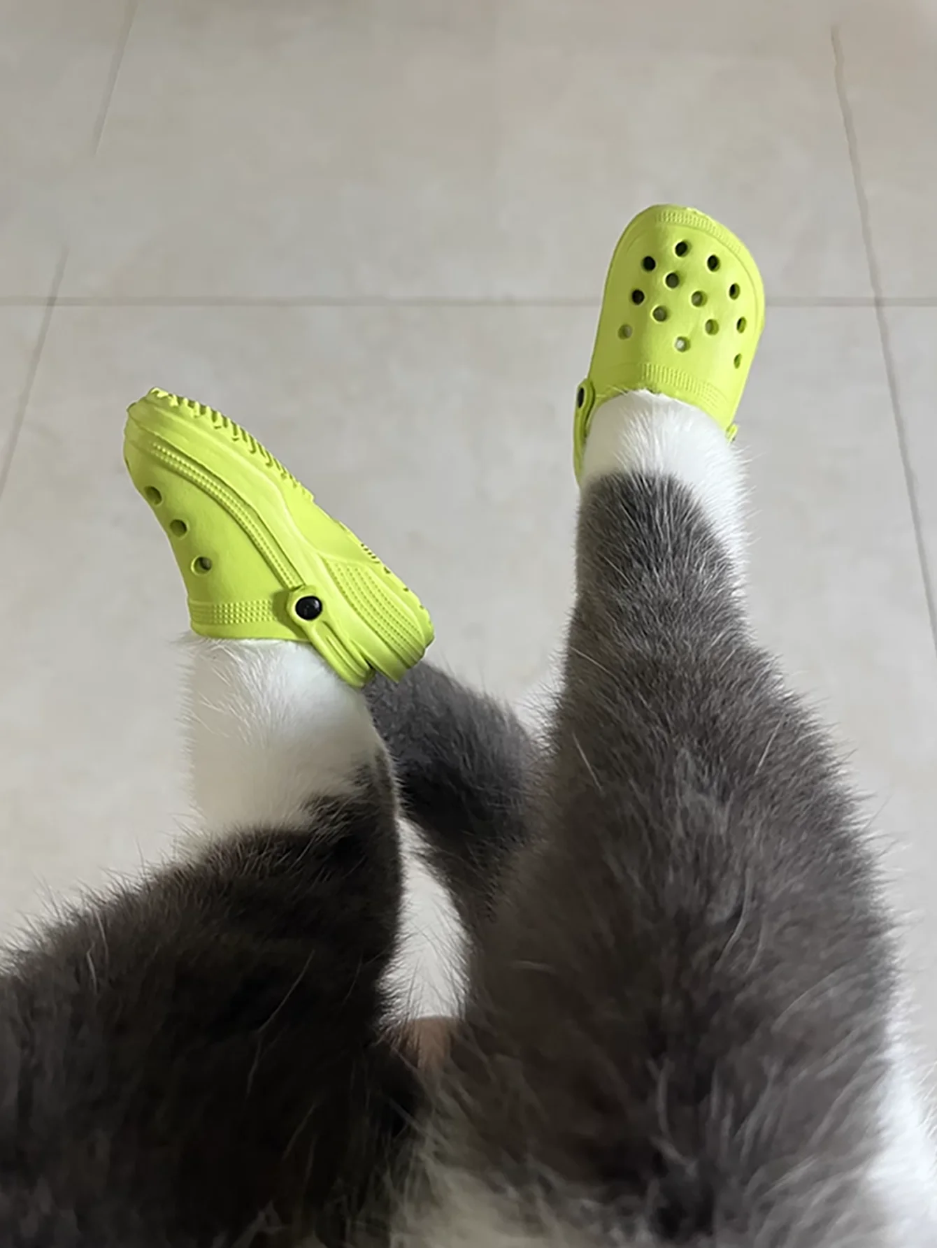 Zapatilla azul cielo con detalle de velcro