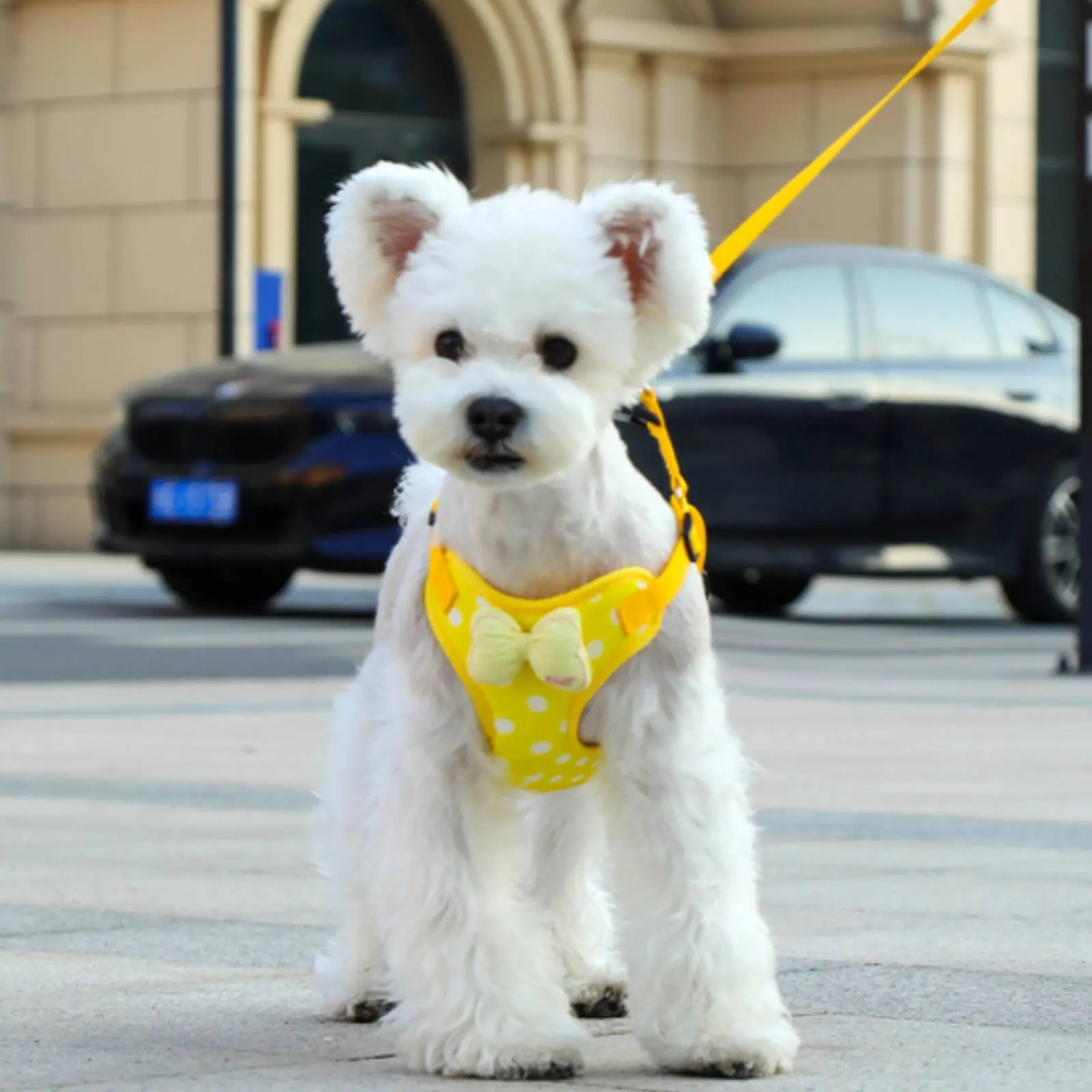 Arnés para perro rosa suave con lazo, transpirable y seguro anti escape