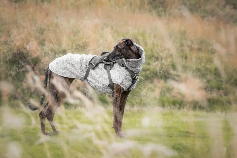 Suéter de forro polar gris para perros