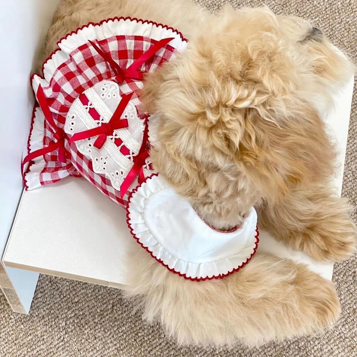 Vestido festivo para perro pequeño en rojo