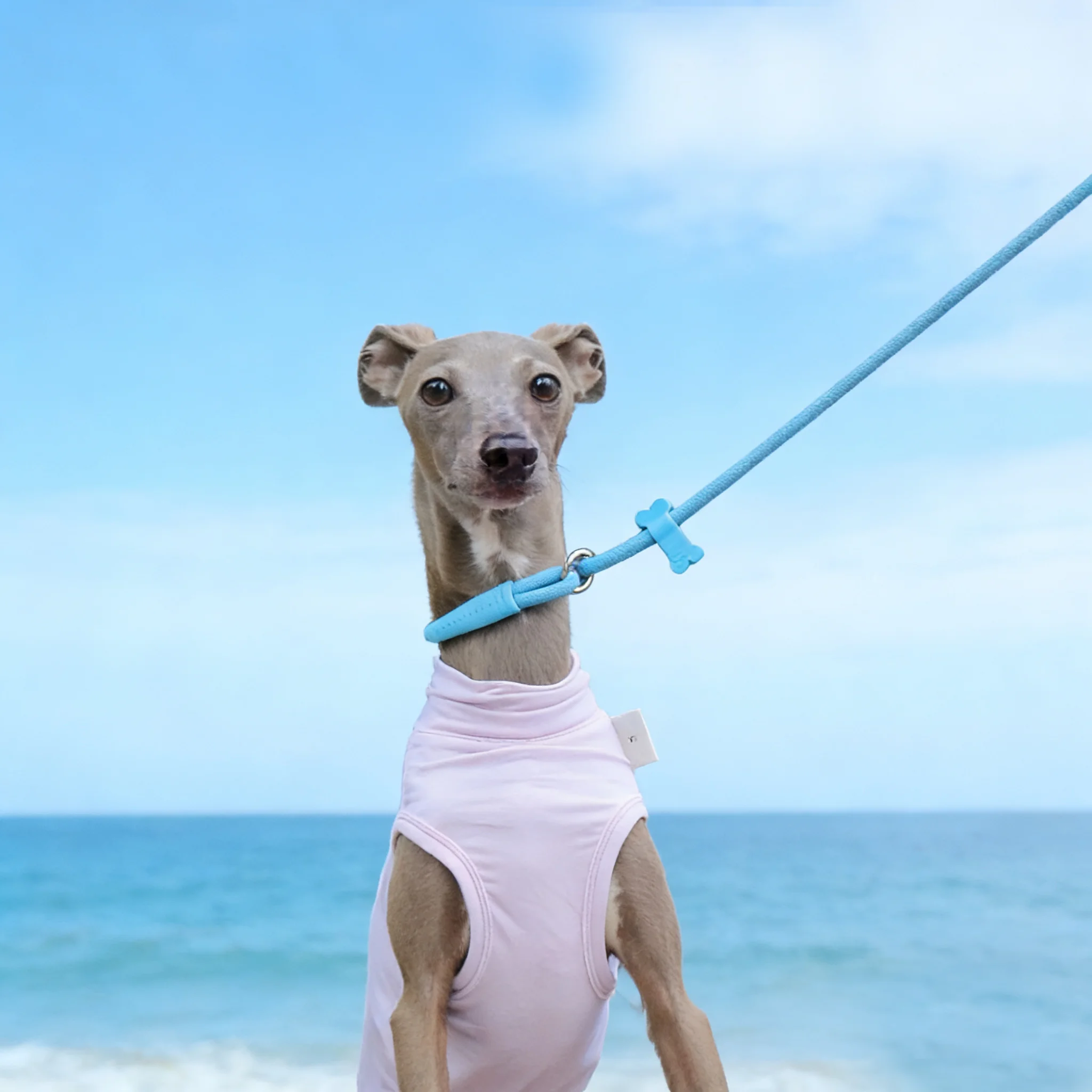 Chaleco transpirable para perro de caza