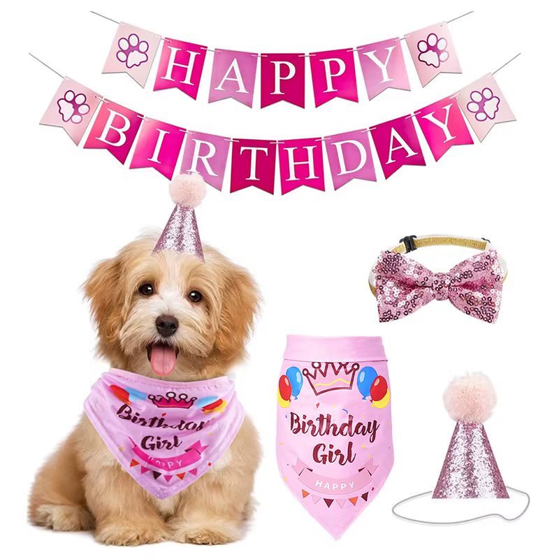 Conjunto completo de fiesta para mascota