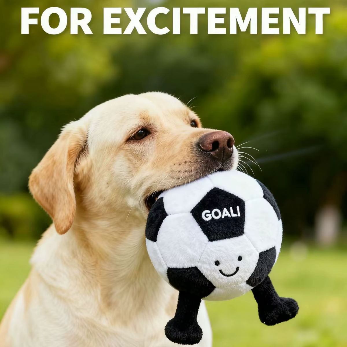 Pelota dental interactiva de fútbol para perros - imagen 3