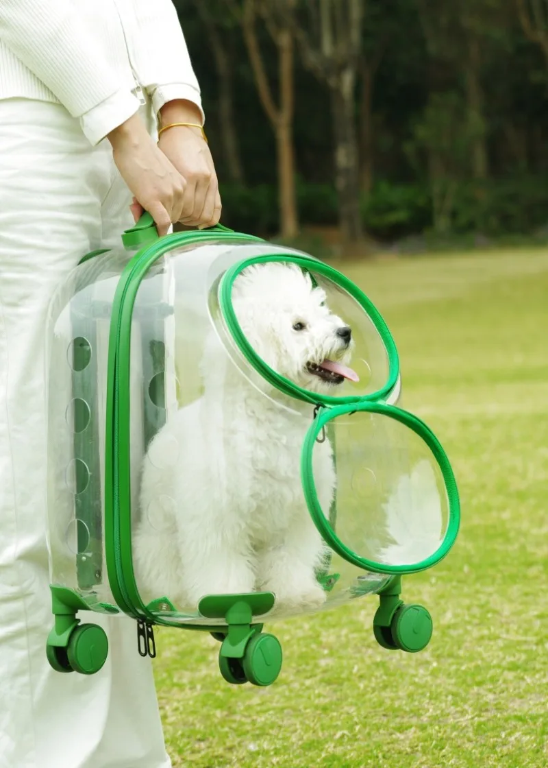 Bolsa lavable y fácil de limpiar