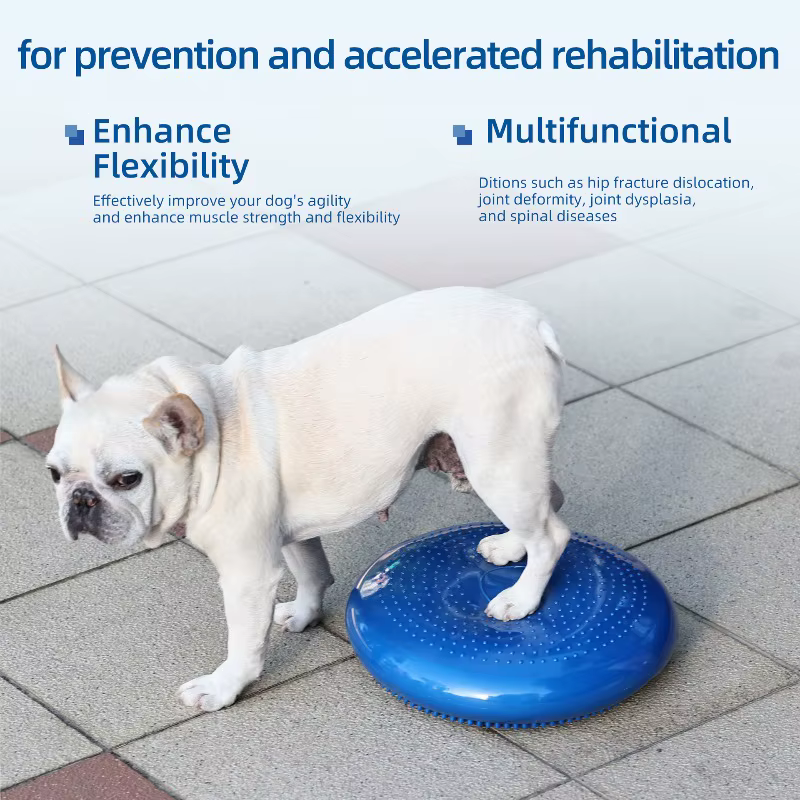 Cojín de masaje con placa acolchada, pelota yoga para gatos y perros - imagen 5