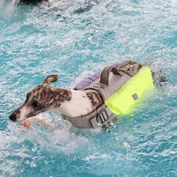 Chaleco salvavidas ajustable para perros grandes – Natación y seguridad