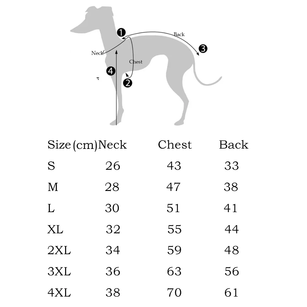 Chaleco para galgo italiano en verano