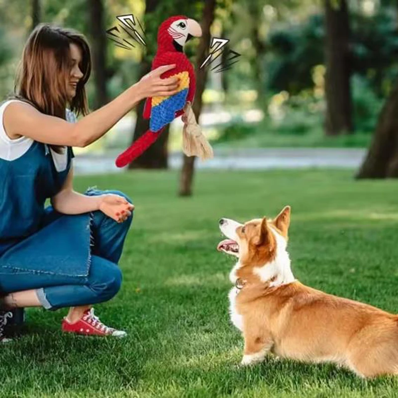 Diseño colorido loro perros