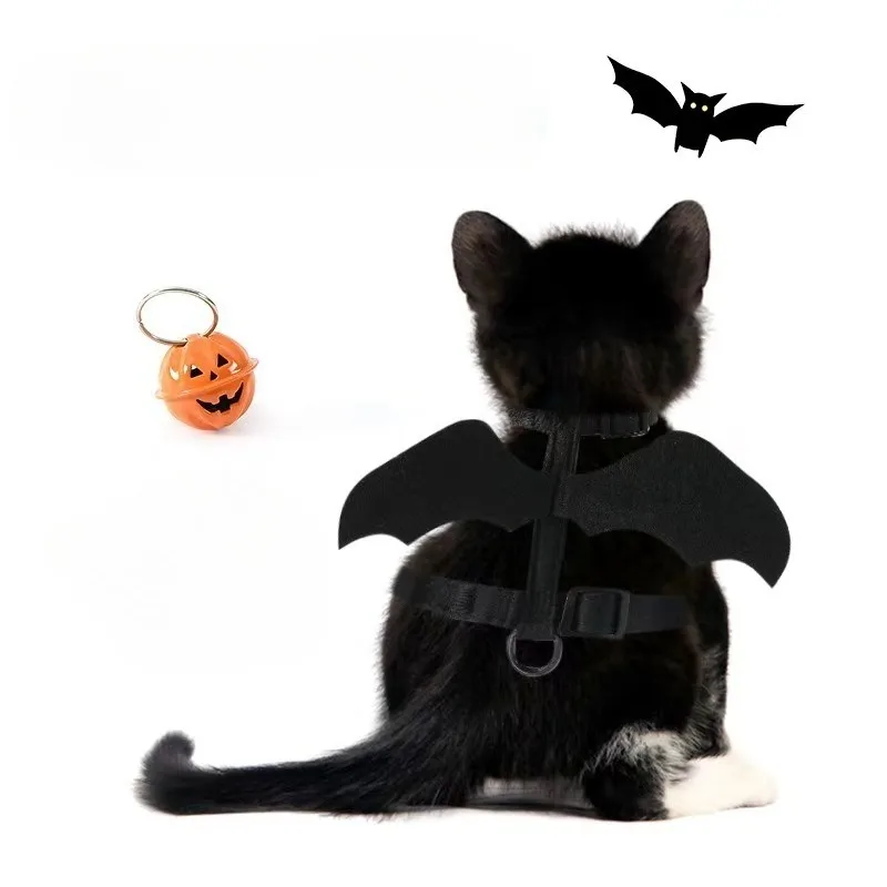 Gato modelo usando las alas de murciélago negro y arnés