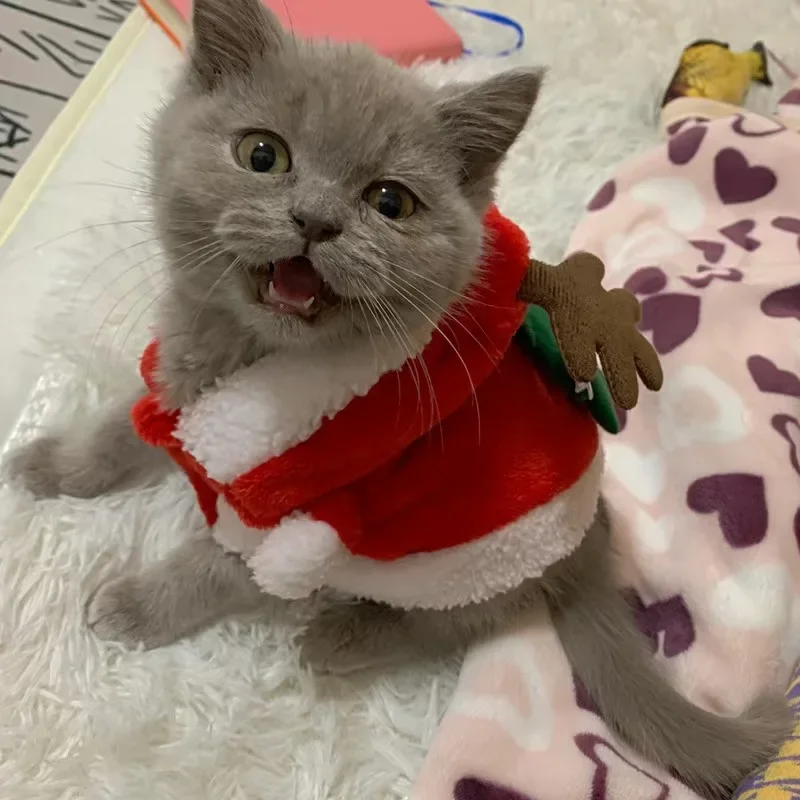 Forro polar cálido para gatos