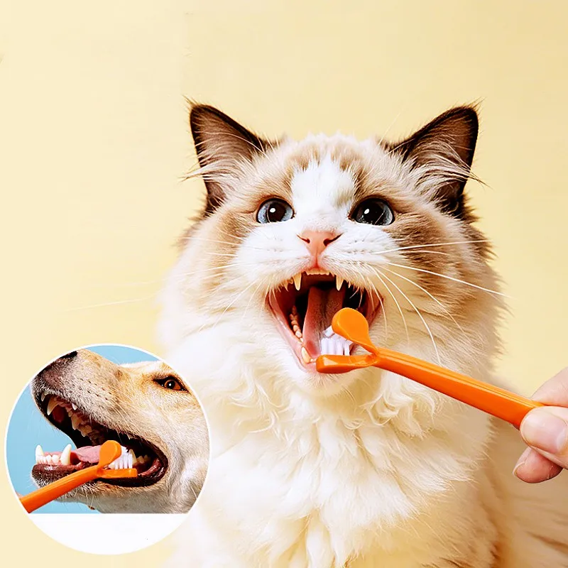 Cepillo de dientes doble para perros y gatos: limpieza bucal - imagen 2