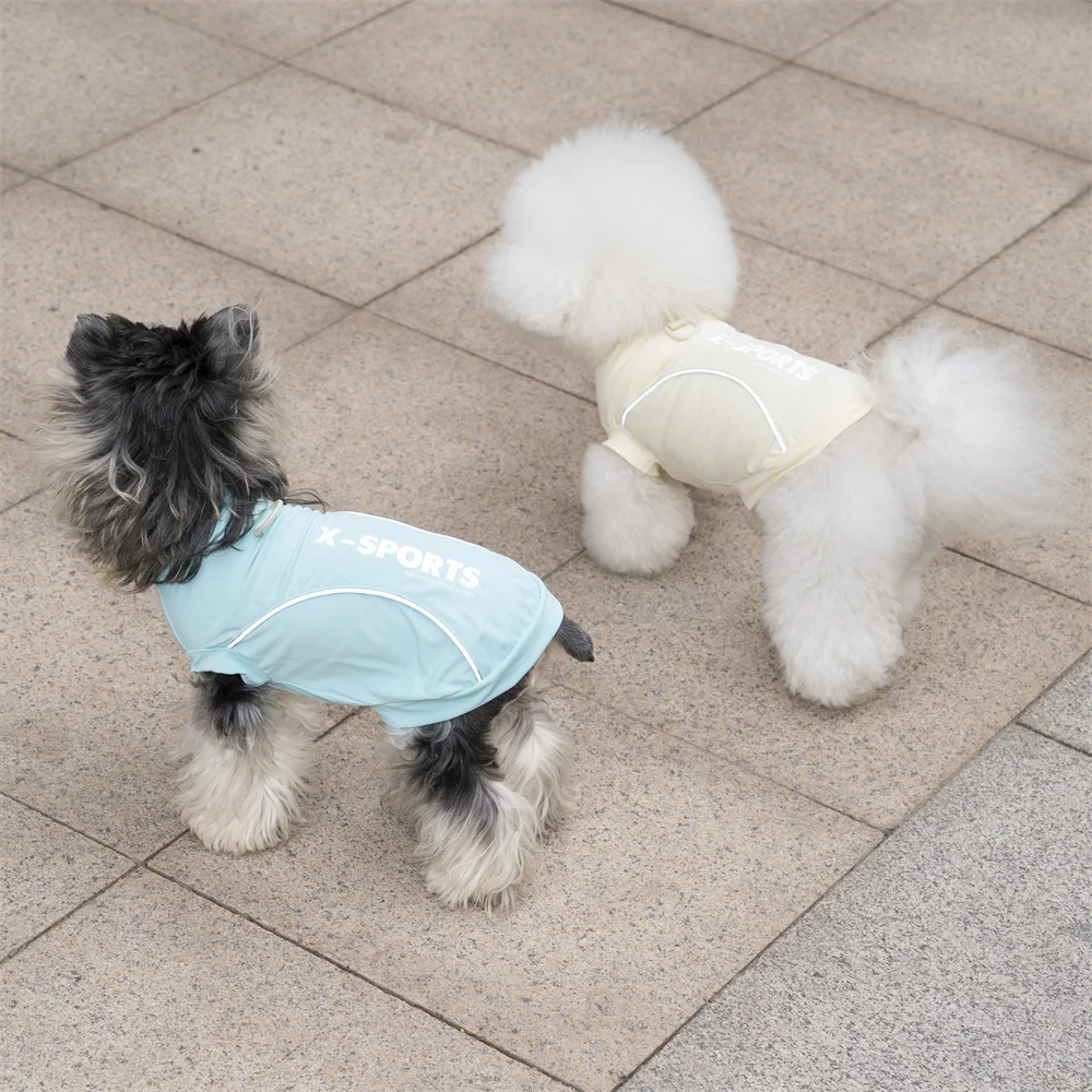 Mascota feliz con chaleco