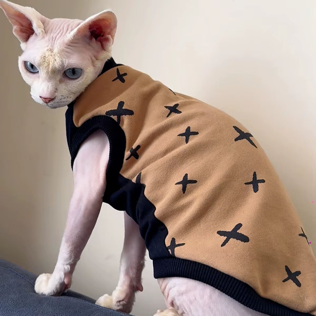 Chaleco rojo suave para gato Devon Rex