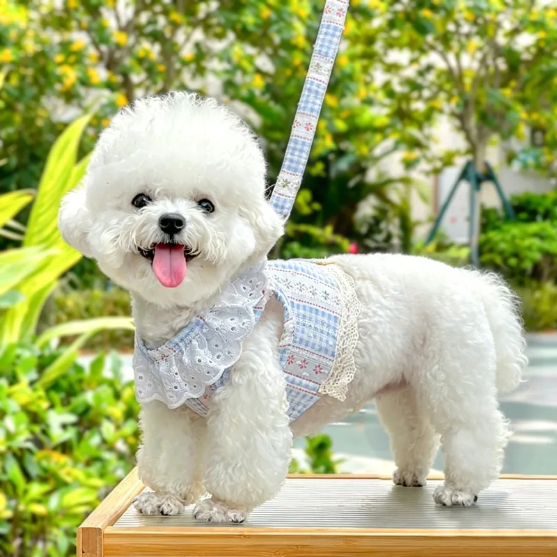 Arnés floral y correa para perro – chaleco encaje Chihuahua - imagen 4