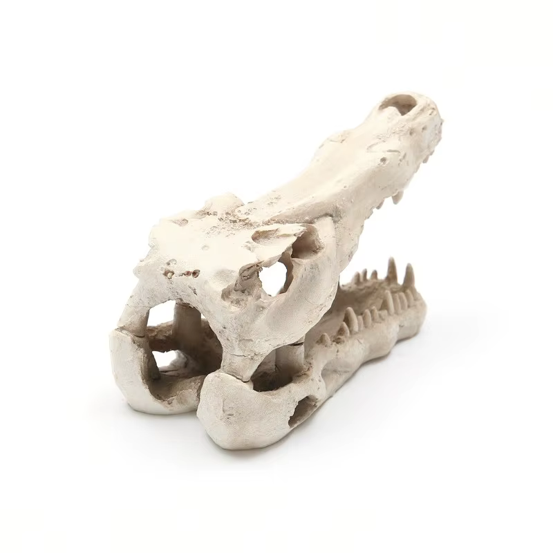 Decoración de acuario con cráneo de cocodrilo de resina - imagen 2