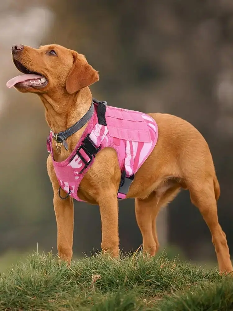 Arnés táctico rosa camuflado para perros en exhibición