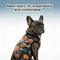 Disfraz de Halloween para perros y gatos: camiseta fantasma calabaza