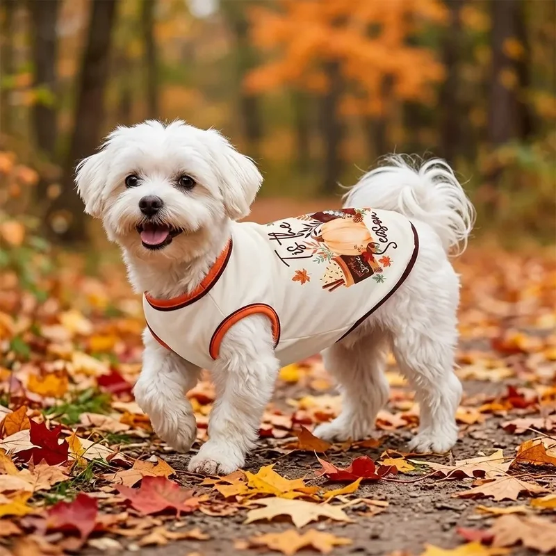 Chaleco Calabaza Beige para Gatos y Perros Pequeños - imagen 3