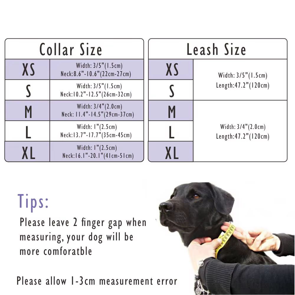Collar cuero personalizado perro con placa latón y correa acolchada - imagen 3