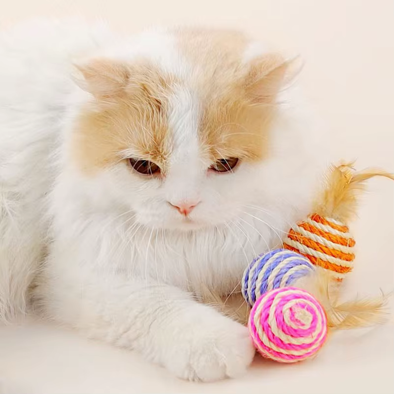 Juguetes para masticar y estimular a los gatitos