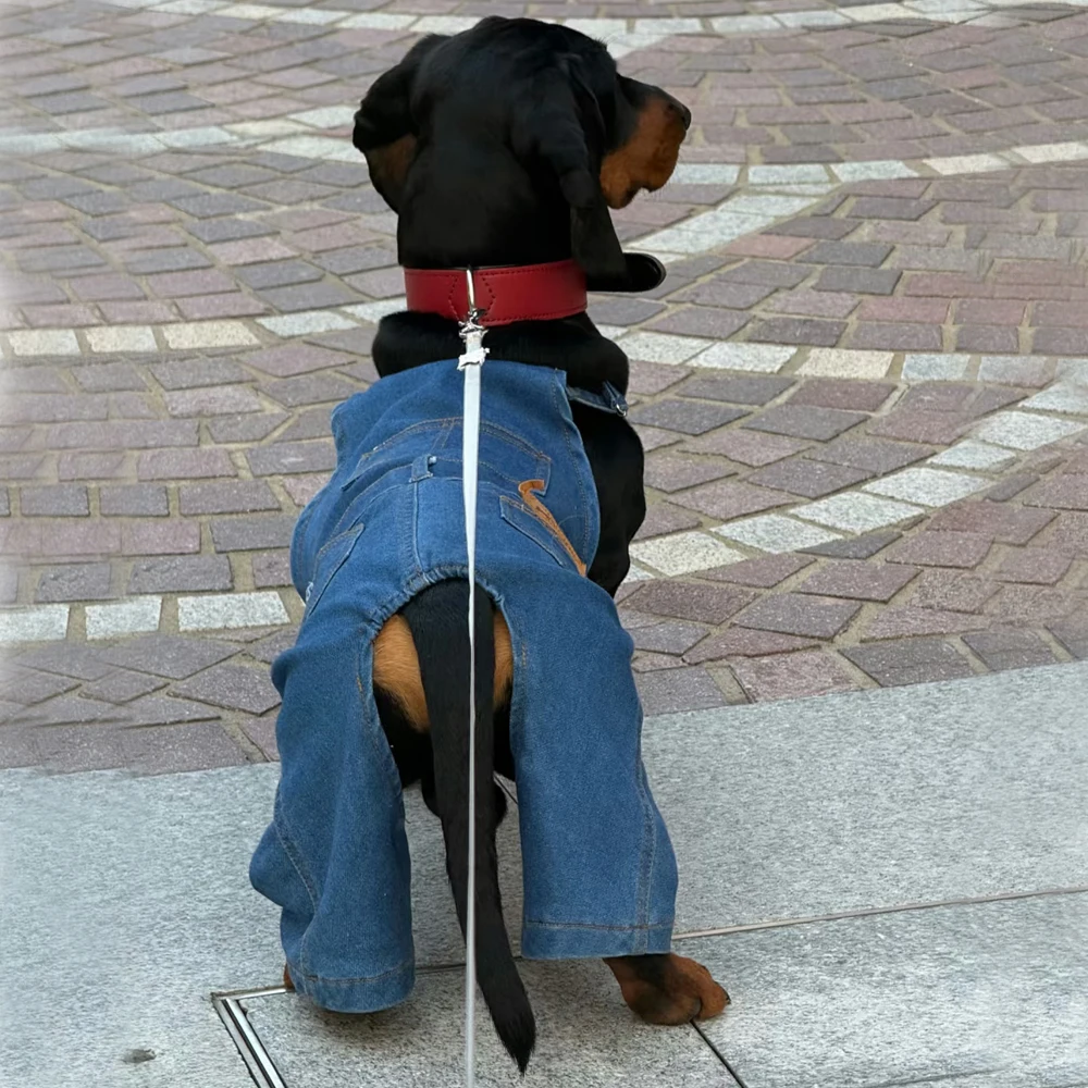 Vista frontal del diseño de 4 patas