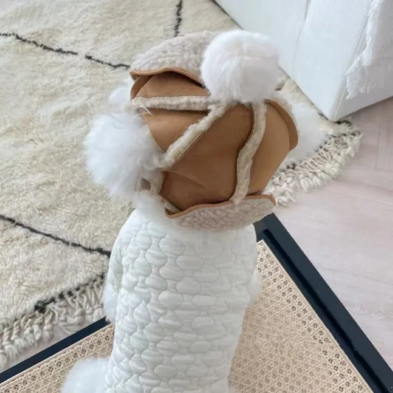 Perro y gato usando el gorro en un entorno nevado