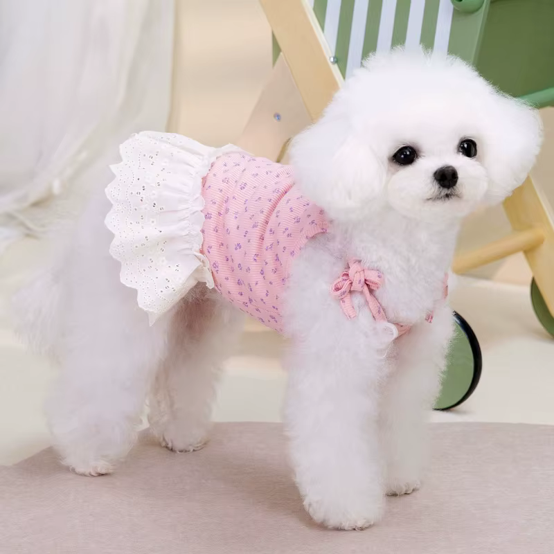 Vestido de encaje con volantes para perros y gatos – Disfraz Bichón