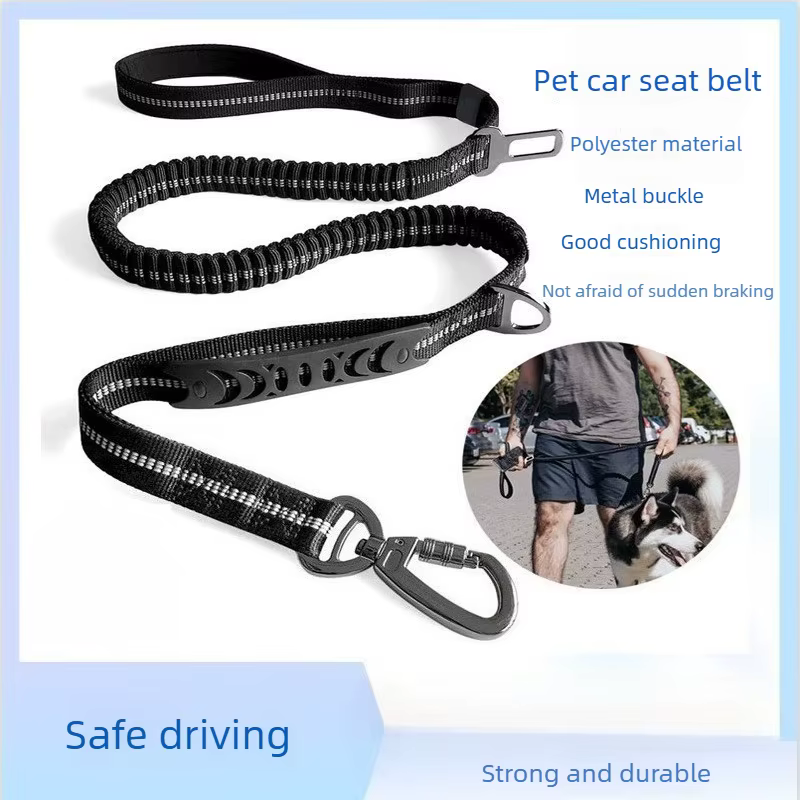 Correa elástica reflectante para perro, para paseo y coche