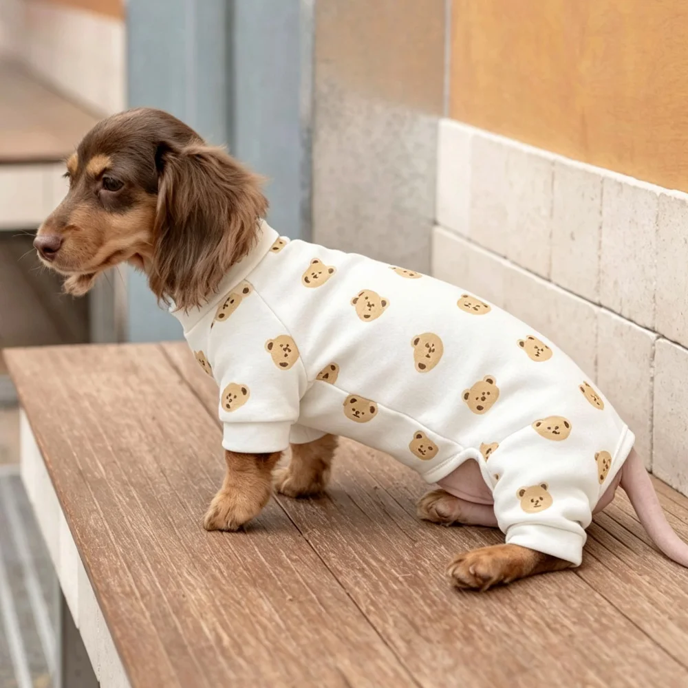 Sudadera para Dachshund mini – abrigo de oso algodón suave - imagen 2