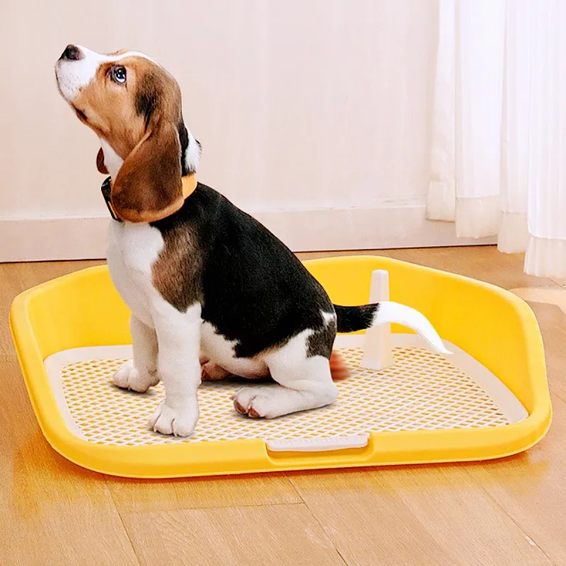 Inodoro para perros con diseño antisalpicaduras