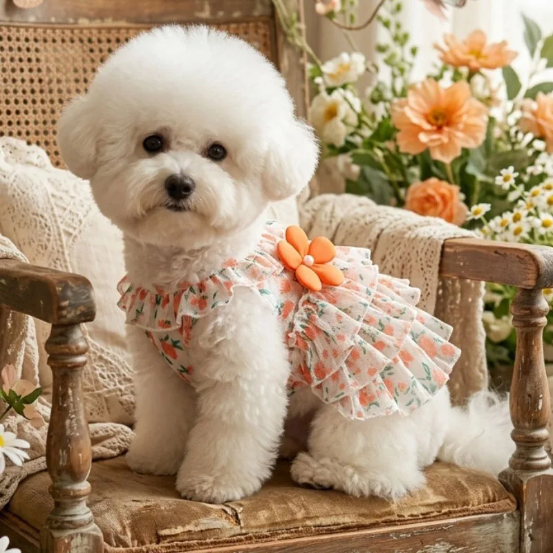 Vestido para perritas pequeñas con volantes – Bichón Frisé y Poodle - imagen 4