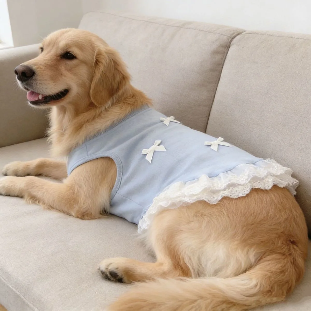 Ropa fresca para perro en tono azul claro