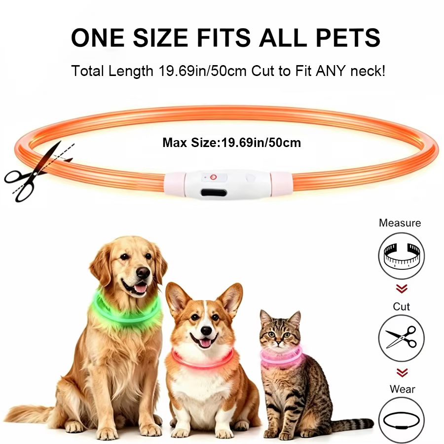 Collar LED luminoso recargable para perros y gatos nocturno - imagen 4