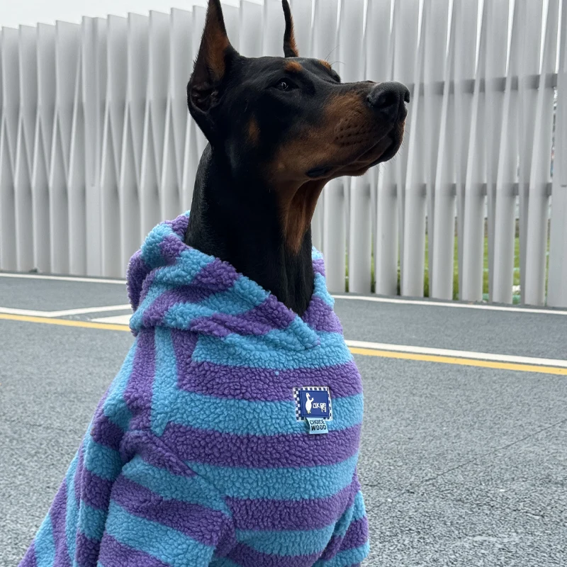Uso en casa y paseo