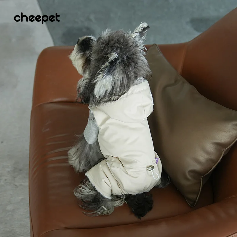 Perro pequeño usando la chaqueta en interiores