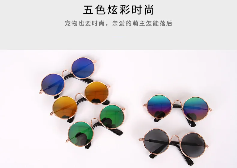 Gafas en mascota